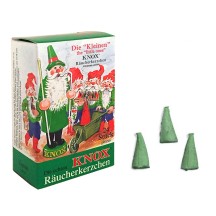 24 Mini Incense Cones in Pine Scent ~ Germany